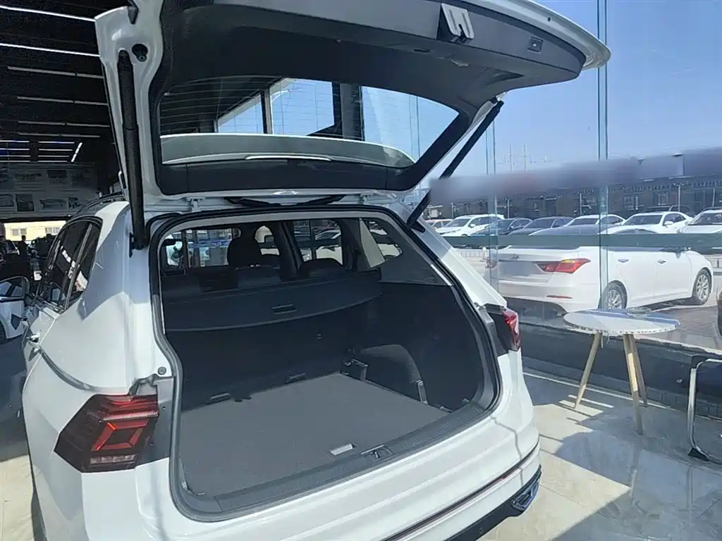Volkswagen Tiguan L 2023 — фото 19