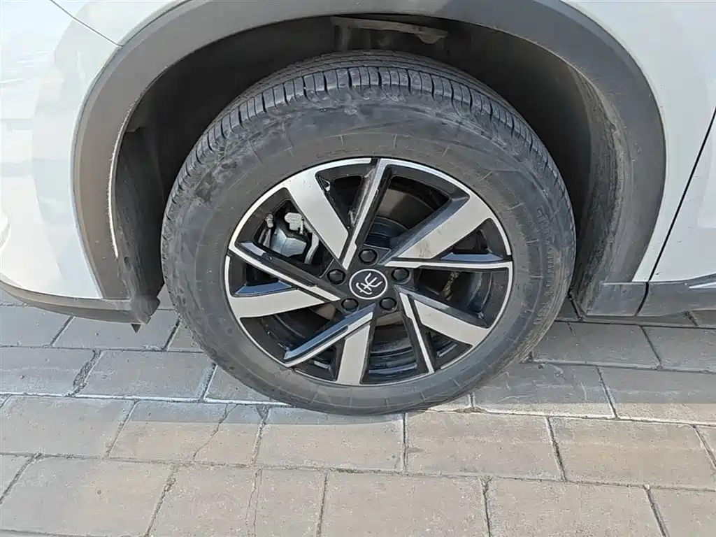 BYD Pro New Energy 2024 — фото 23