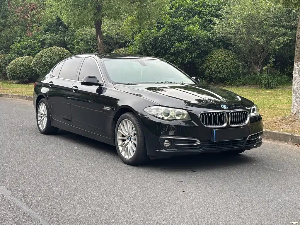 BMW 5 Series 2014 — фото 3