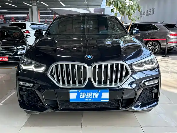 BMW X6 2021