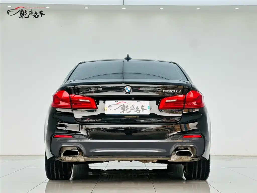 BMW 5 Series 2018 — фото 6
