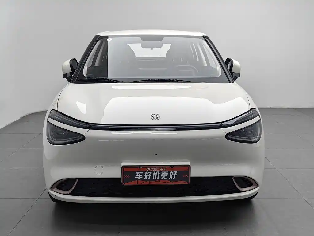 Dongfeng Nano 01 2025