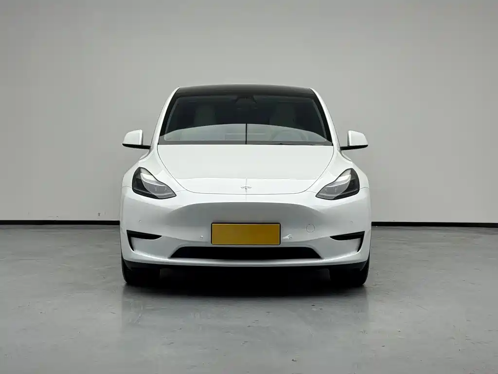 Tesla Model Y 2023 — фото 2