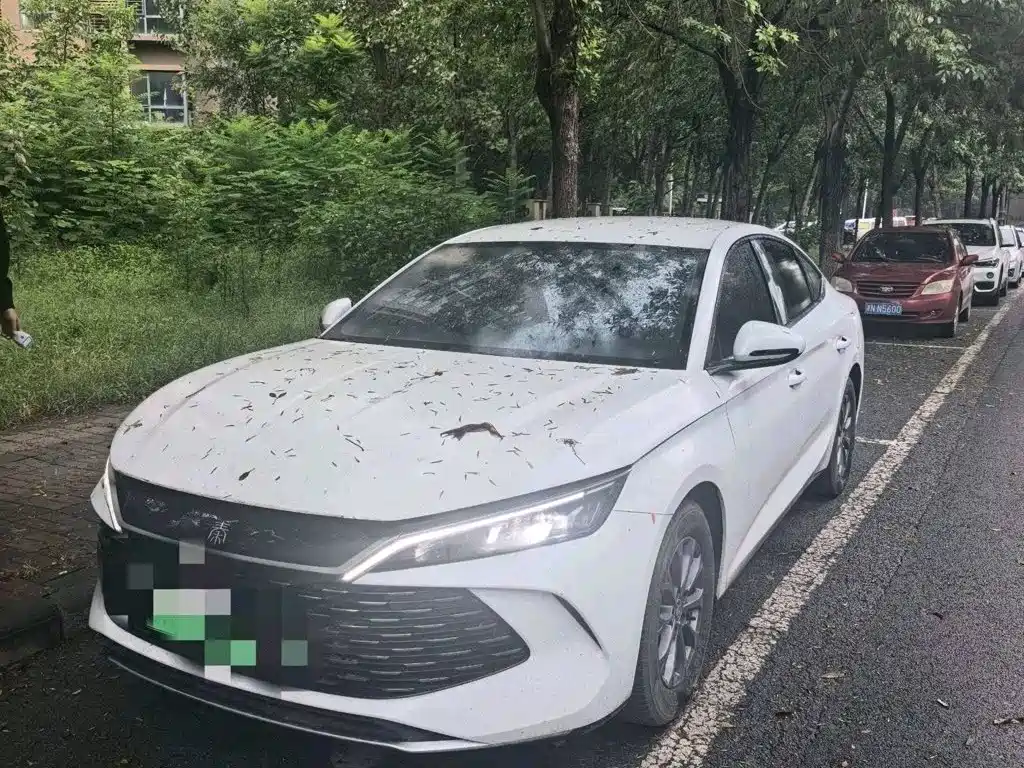 BYD Qin L 2024 — фото 1