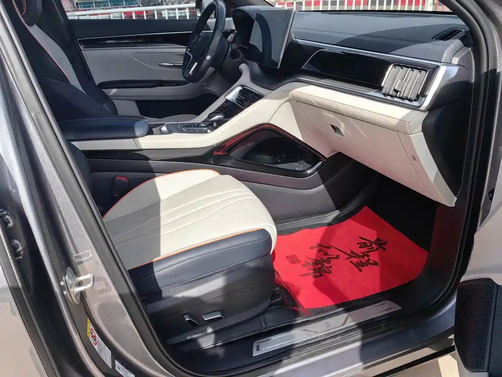 BYD PLUS New Energy 2023 — фото 15
