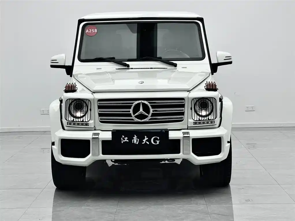 Mercedes-Benz G-Class AMG 2009 — фото 2