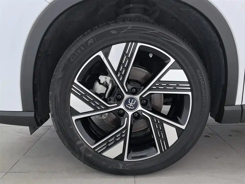 BYD Pro New Energy 2024 — фото 17