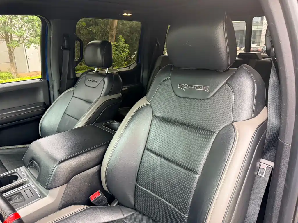 Ford F-150 Raptor 2019 — фото 14
