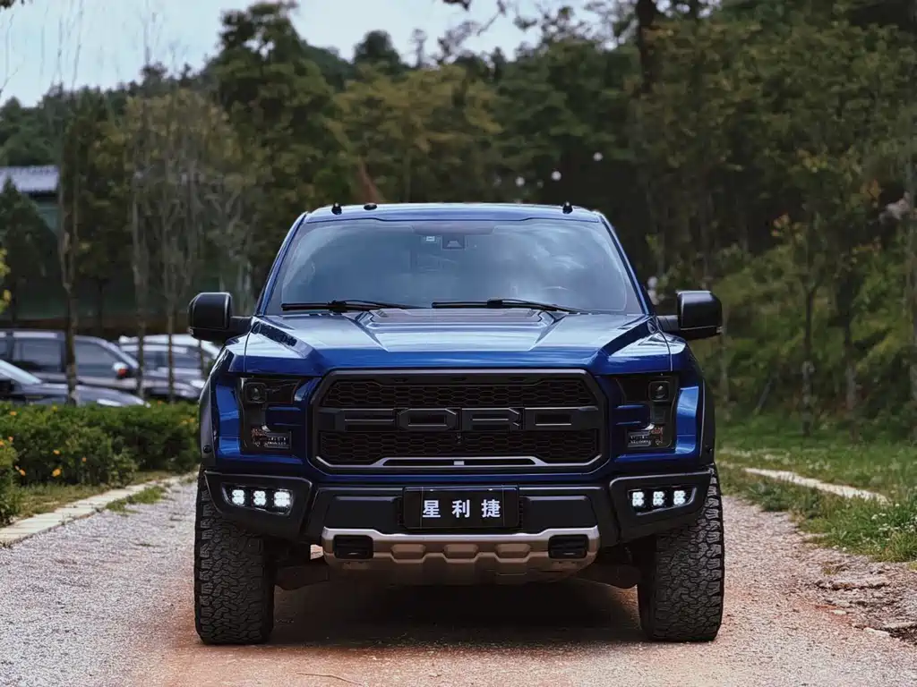 Ford F-150 Raptor 2019 — фото 2