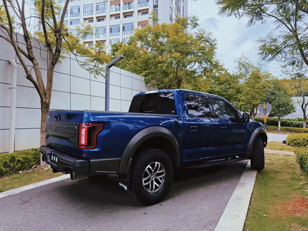 Ford F-150 Raptor 2019 — фото 7