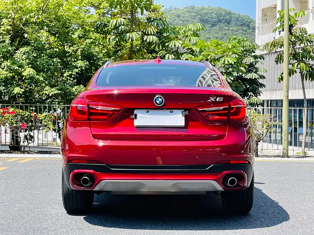 BMW X6 2015 — фото 5
