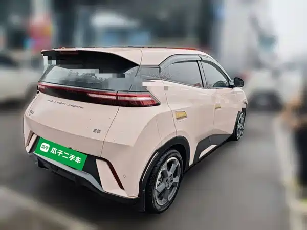 BYD Seagull 2024