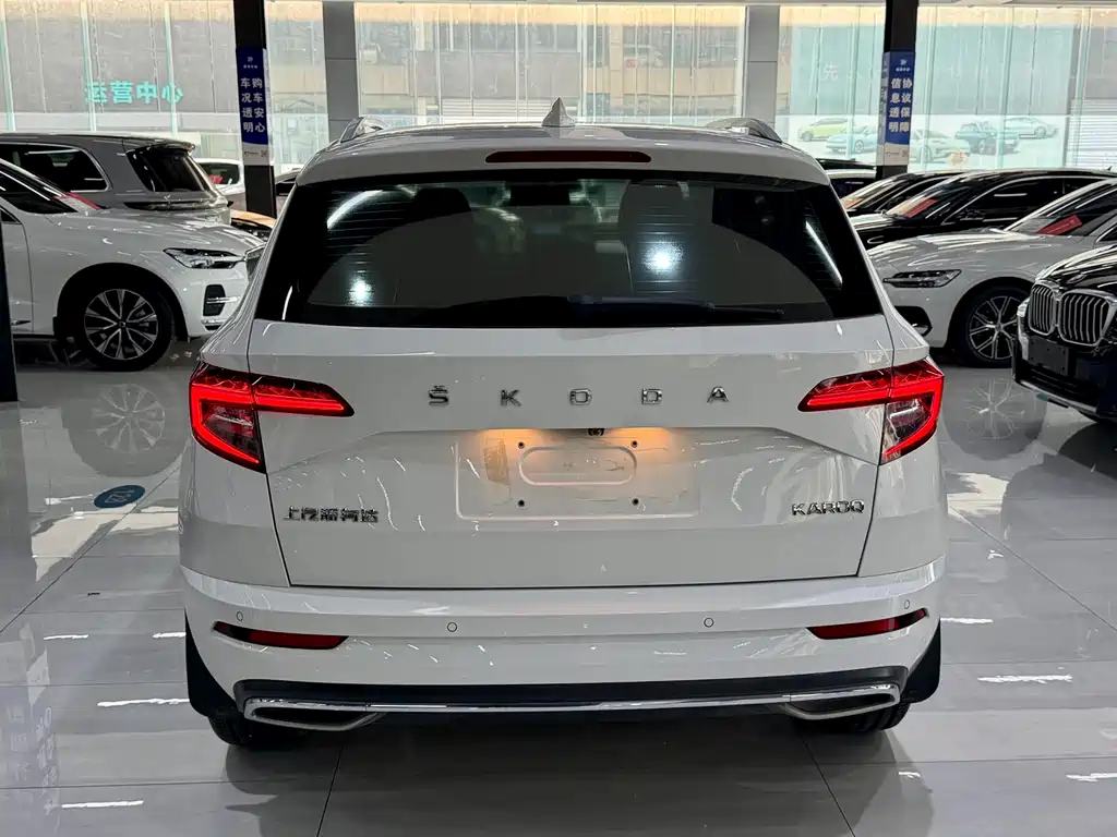 Skoda Karoq 2023 — фото 12