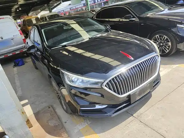Hongqi H5 2019