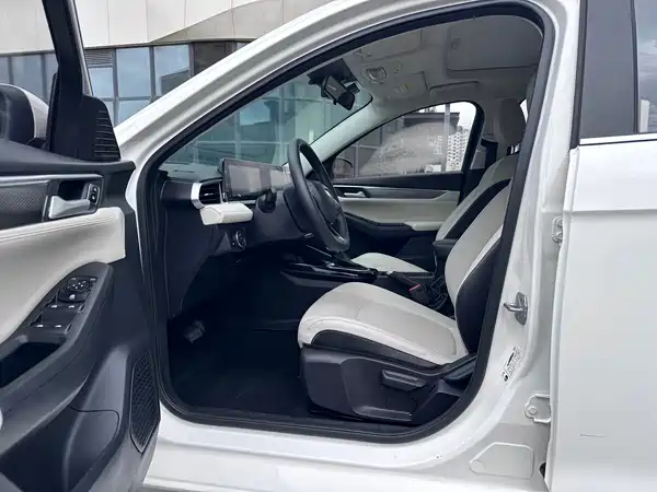 Ford Escort 2021