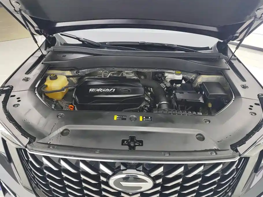 GAC Trumpchi GS8 2022 — фото 10