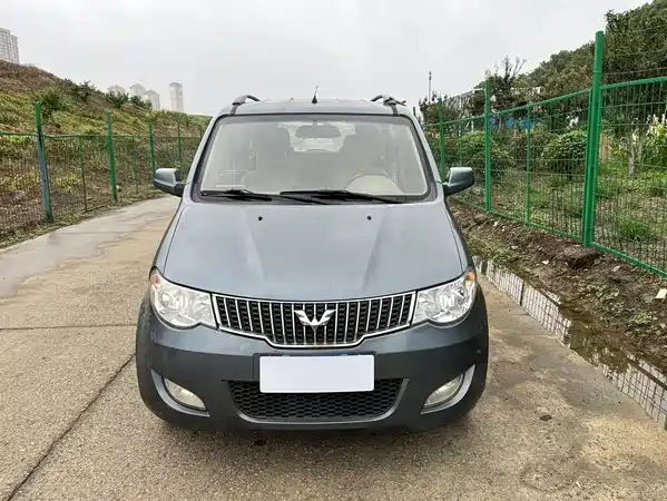 Wuling Hongguang 2014
