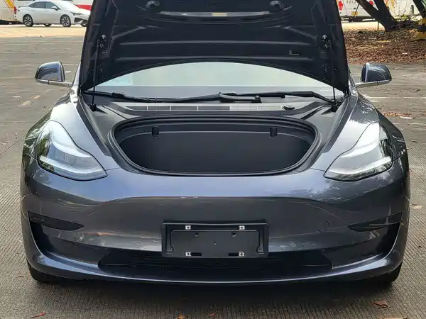 Tesla Model 3 2020
