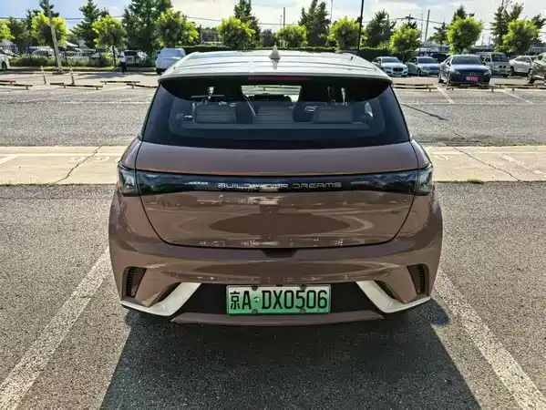 BYD Dolphin 2021