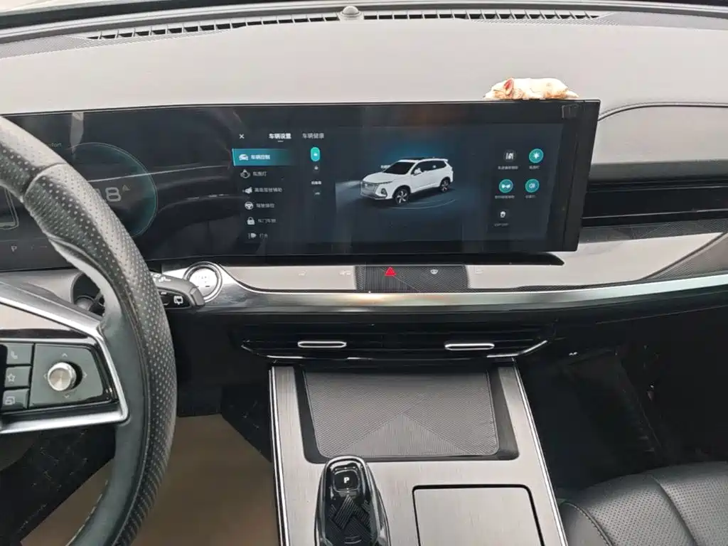 Roewe RX5 MAX 2022 — фото 13