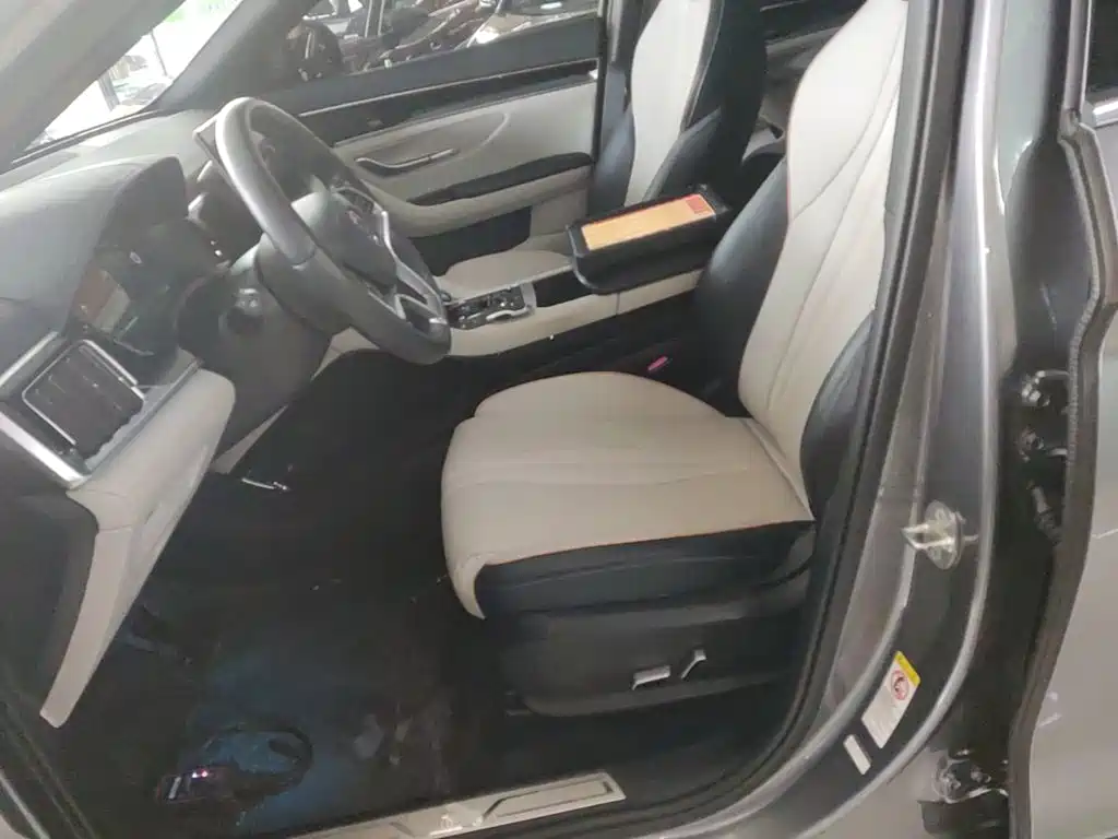 BYD Song PLUS New Energy 2022 — фото 15
