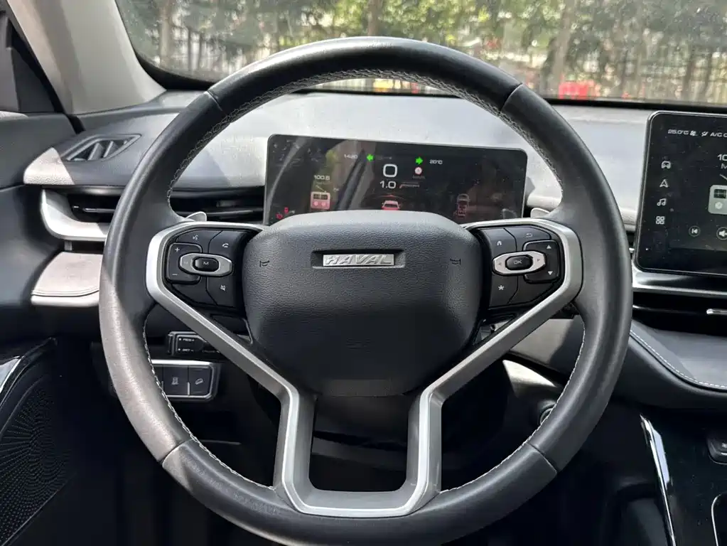 Haval H6 2021 — фото 10