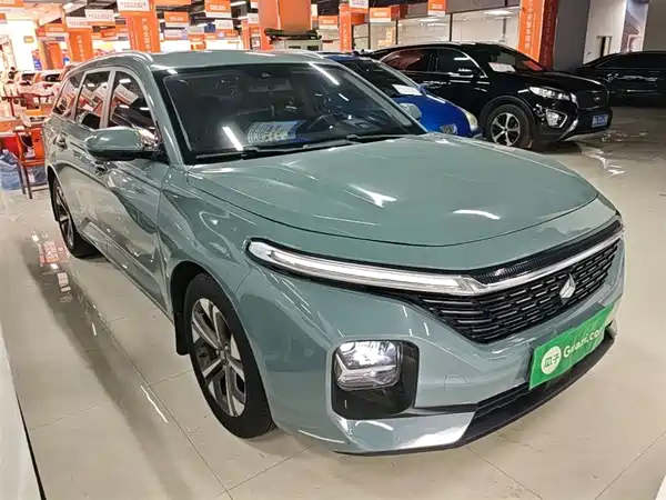 Baojun Valli 2021