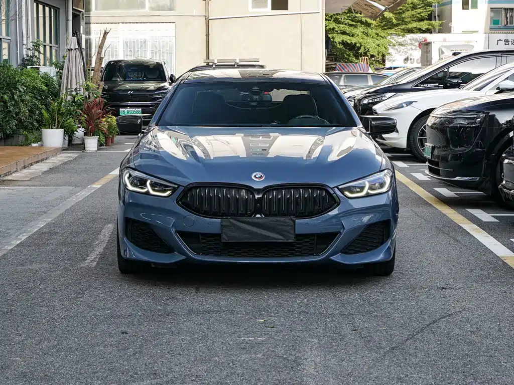 BMW 8 Series 2020 — фото 2