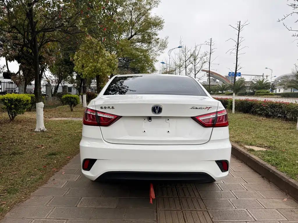 Changan Eado DT 2021 — фото 4