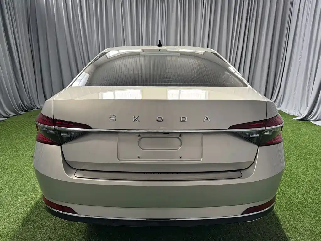 Skoda Speedy 2022