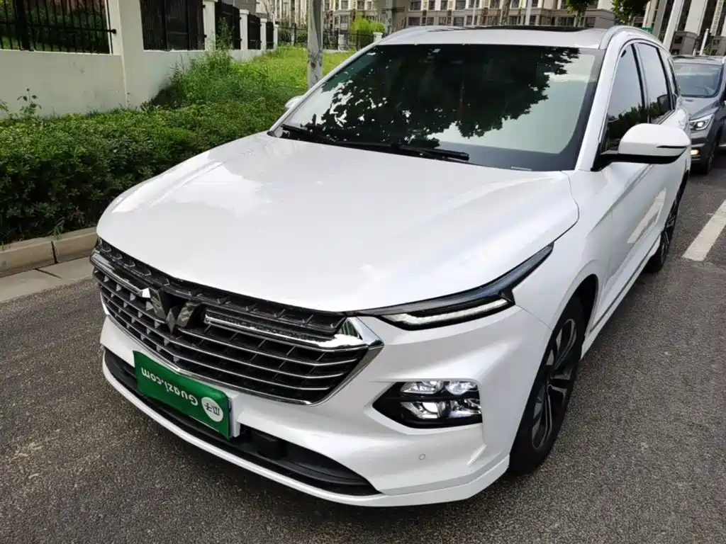 Wuling Capgemini 2022