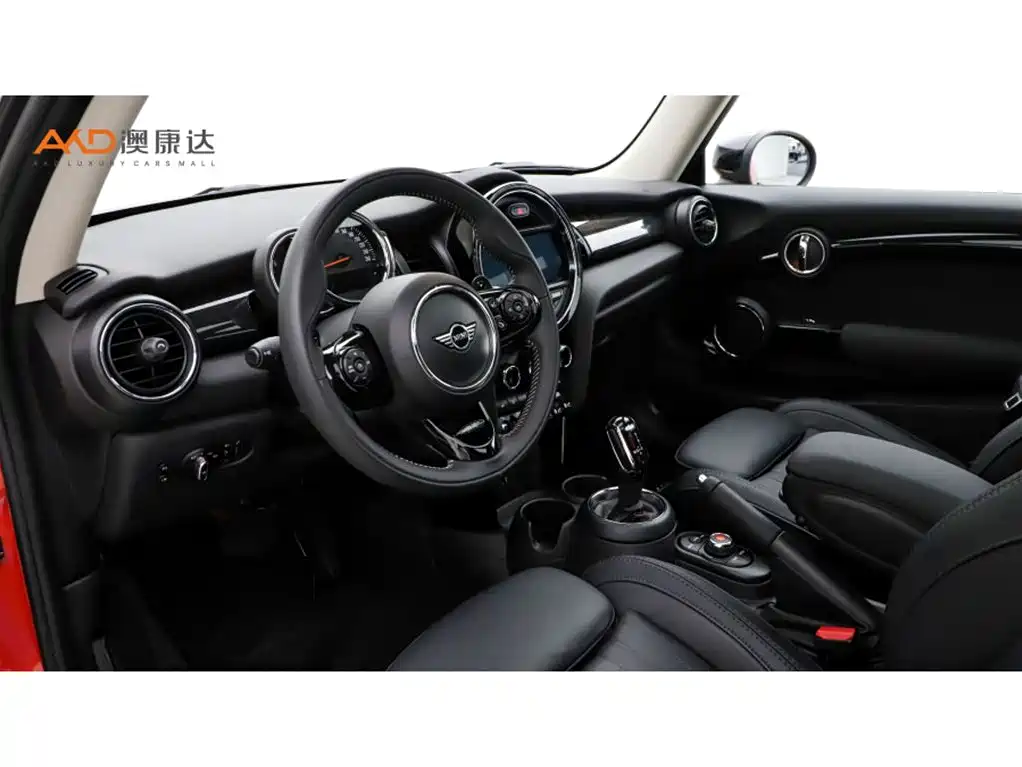 MINI MINI 2020