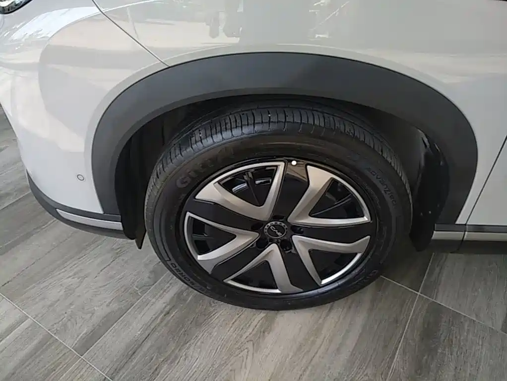 BYD Sealion 07 DM-i 2025 — фото 23