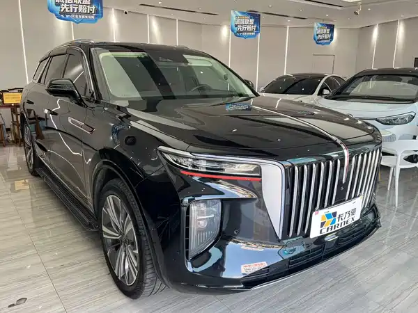 Hongqi E-HS9 2021