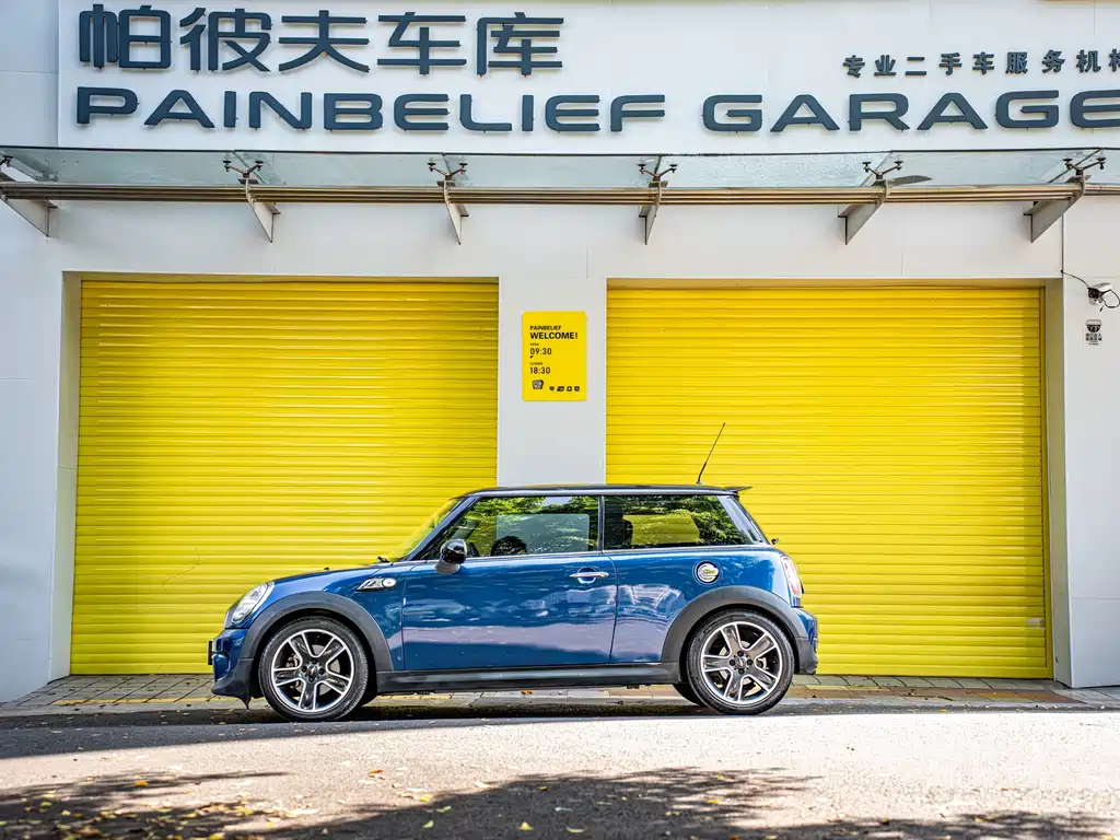MINI MINI 2012