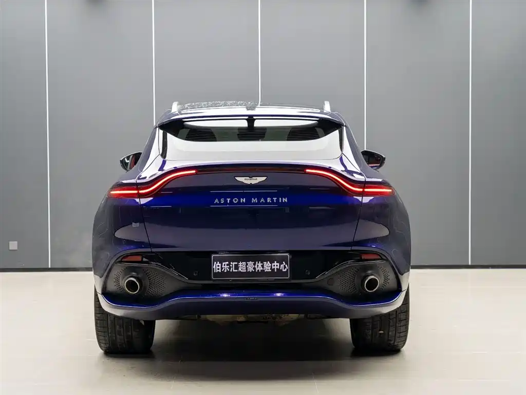 Aston Martin DBX 2023 — фото 6