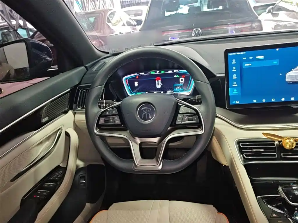 BYD PLUS New Energy 2022 — фото 11