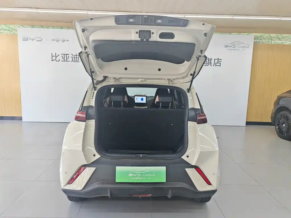 BYD Seagull 2024