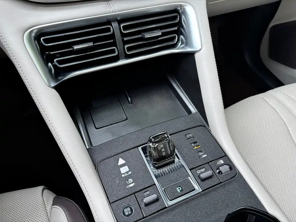 BYD PLUS New Energy 2025 — фото 15