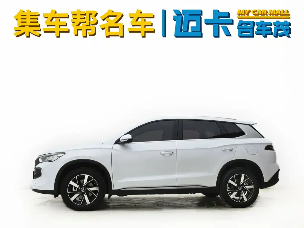 BYD Pro New Energy 2024 — фото 3