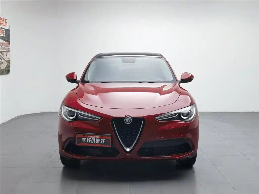 Alfa Romeo Stelvio 2019 — фото 3