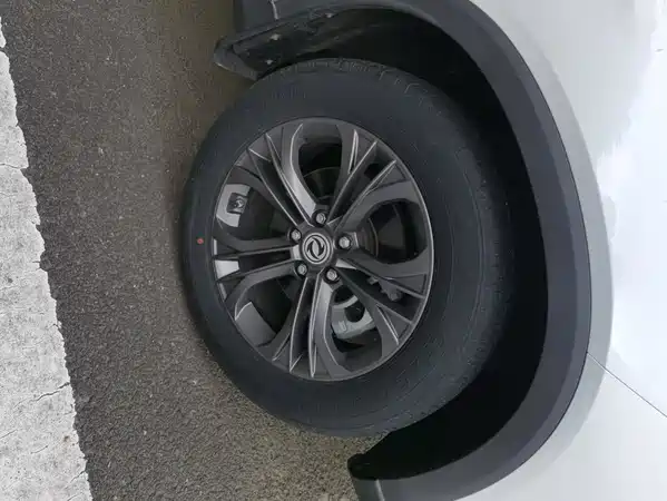Dongfeng Scenery 500 2021