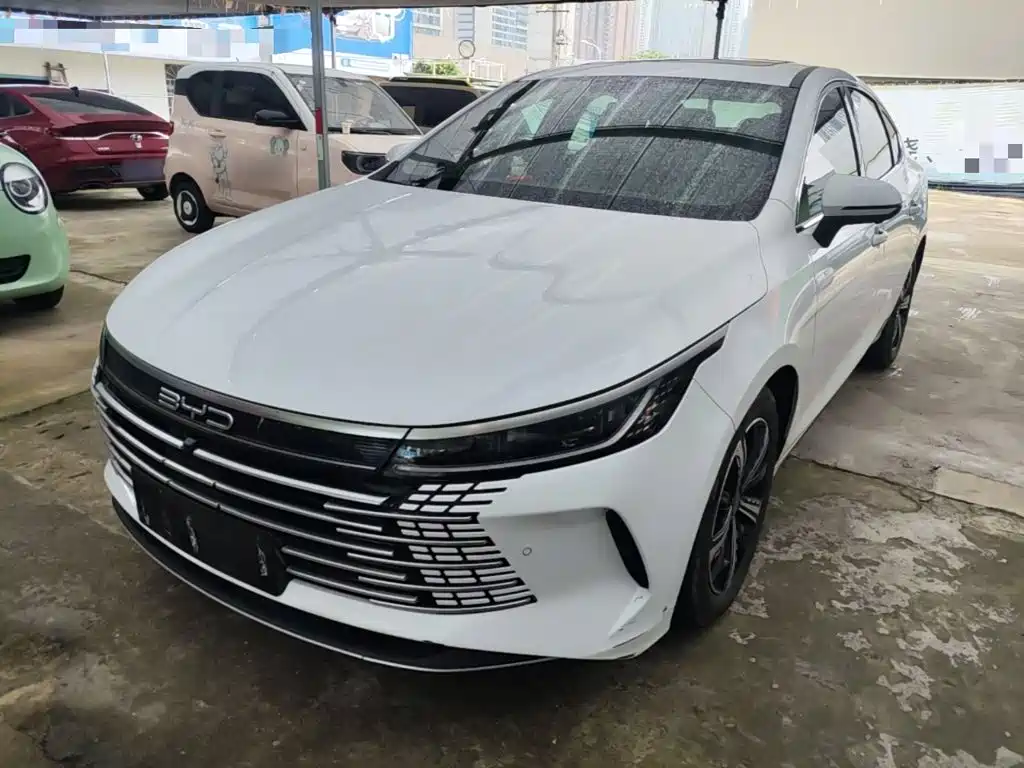 BYD Destroyer 05 2023 — фото 1