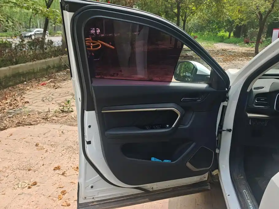Haval H6 2019