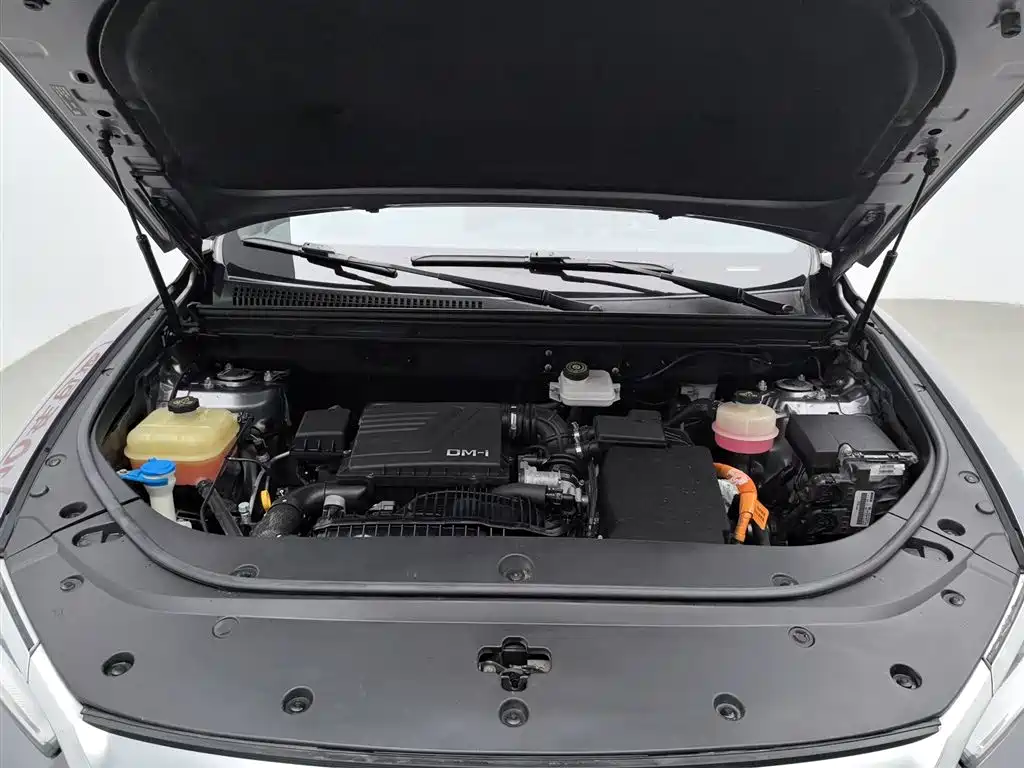 BYD Pro New Energy 2022 — фото 6