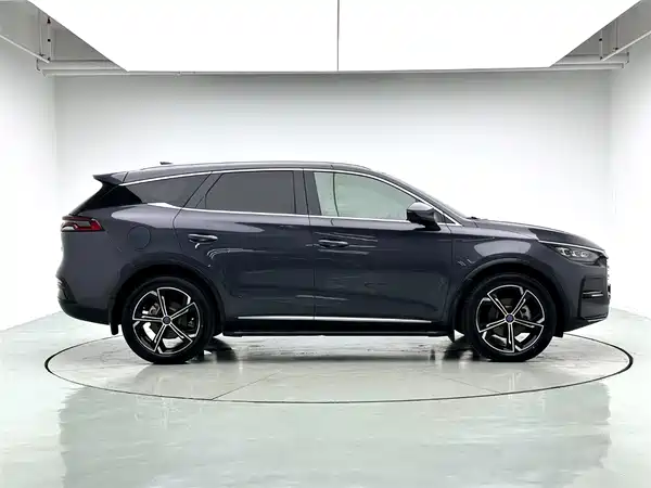 BYD Tang New Energy 2021