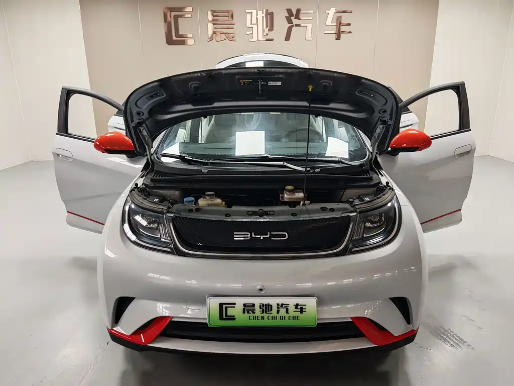 BYD Dolphin 2021 — фото 15