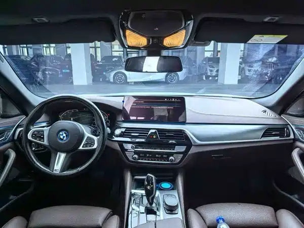 BMW 5 Series New Energy 2022