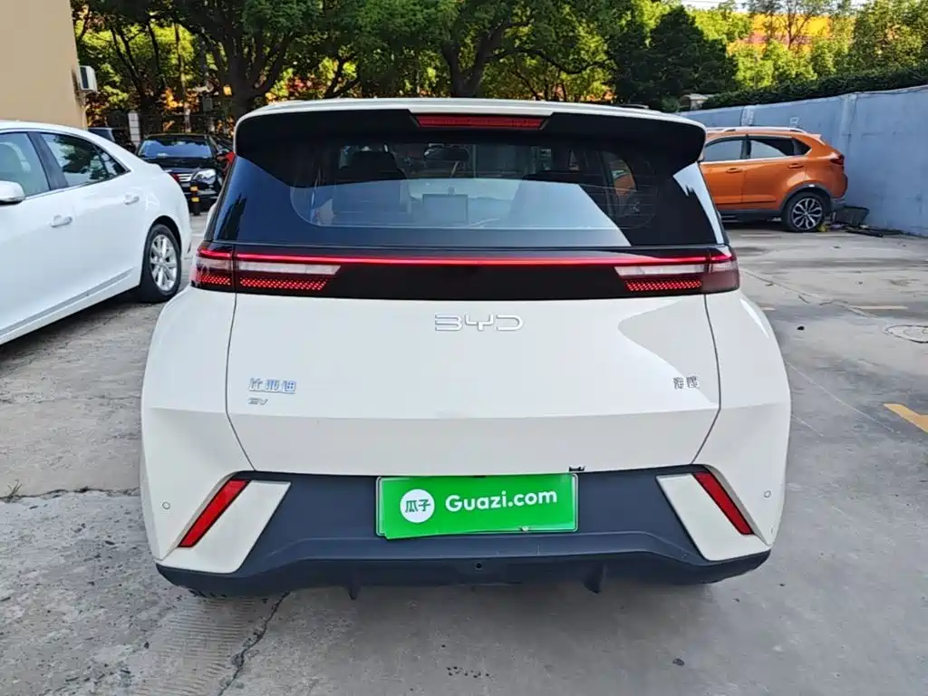 BYD Seagull 2024