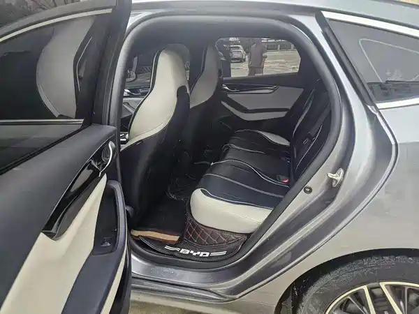BYD Qin PLUS 2021